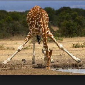 Meet your Posher, Eddie